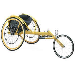 Ce/ISO genehmigter Freizeit- und Sport-Geschwindigkeits-Königs-Rad-Stuhl (MT05030051)