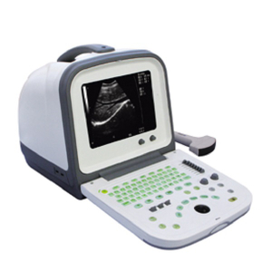 CE/ISO genehmigter tragbarer Ultraschall-Ultraschallscanner für Tierarzt (MT01006122)