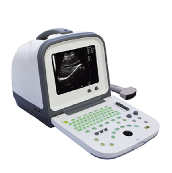 CE/ISO genehmigter tragbarer Ultraschall-Ultraschallscanner für Tierarzt (MT01006122)