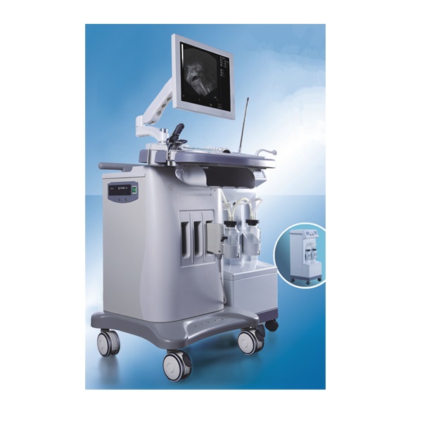 CE/ISO-zugelassene Gyn Visible Ultraschall-Ultraschall-Diagnosesystem-Maschine (MT01006082)