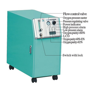 Sauerstoffkonzentrator für medizinische Einrichtungen, 10 l, mit Fernbedienung (MT05101070)