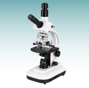 Biologisches Mikroskop des heißen Verkaufs (MT28107304)