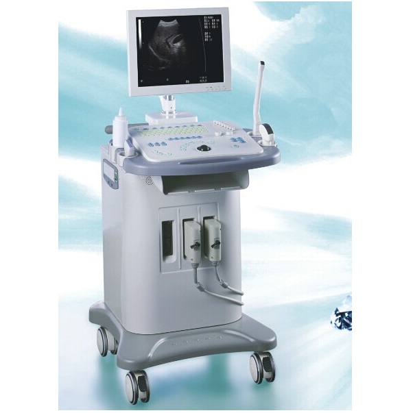 CE/ISO-zugelassenes digitales Ultraschall-Diagnosesystem in Wagenbauweise (MT01006065)